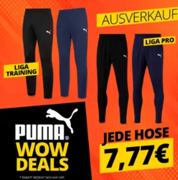 Puma Liga Training Pants Pro Herren Trainingshose In Verschiedenen Farben