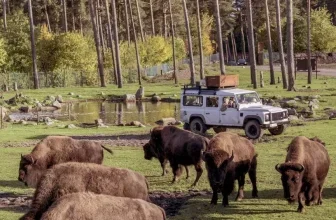 Gratis Eintritt Serengeti Park: Eintritt frei mit Osterei für Kinder bis 12 Jahre