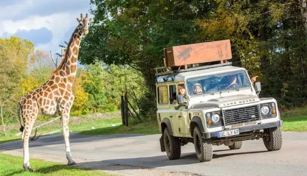 Kostenlos in den Serengeti-Park am 24. & 25. Mai – BILDplus Kunden