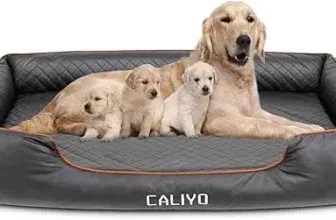 CALIYO Orthopädisches Hundebett Grosse Hunde (127×97×18CM Schwarz) ab 41,99 € inkl. Versand (statt 69,99 €)