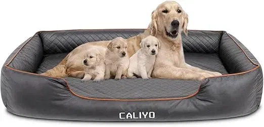 Schnäppchen, Deals Und Rabattcodes Des Tages - Caliyo Orthopädisches Hundebett Für Große Hunde In Schwarz