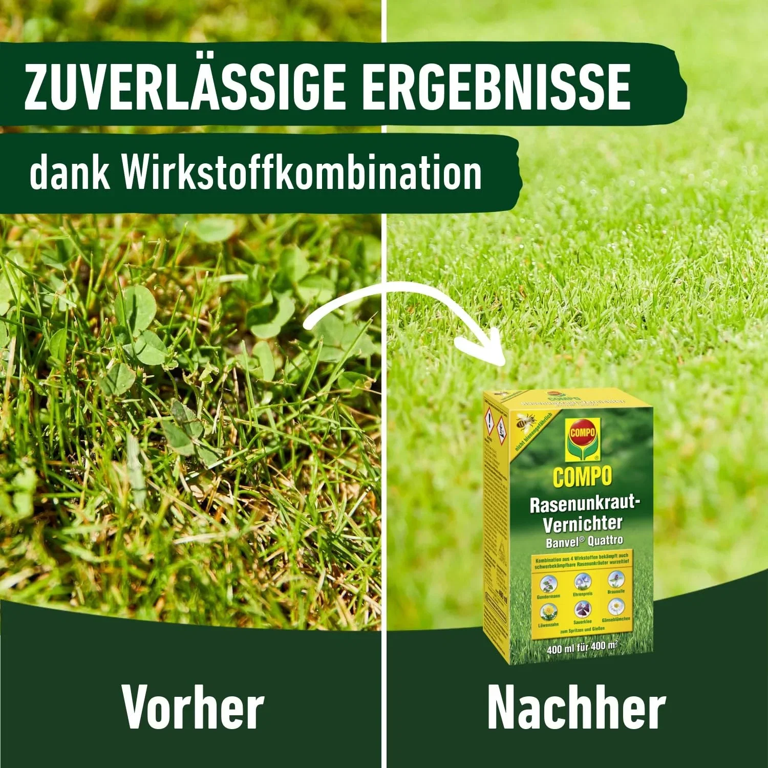COMPO Rasenunkraut Vernichter Banvel Quattro Bekaempfung von schwerbekaempfbaren Unkraeutern im Rasen Konzentrat 400 ml B0781VSXRH 5