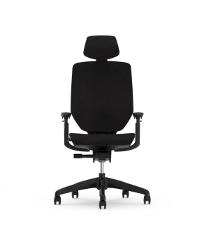 Flexispot Bürostuhl mit drei Knöpfen einfach verstellbar BS12 Pro ab 289,00 € inkl. Versand