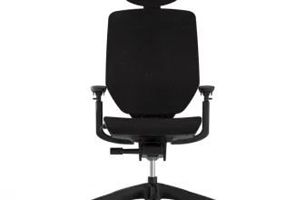 Flexispot Bürostuhl mit drei Knöpfen einfach verstellbar BS12 Pro ab 289,00 € inkl. Versand