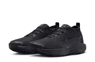 Nike Pegasus Trail 5 GTX Herren Sneaker FQ0908-002 (Gr. 39 bis 45) für 67,19 € inkl. Versand