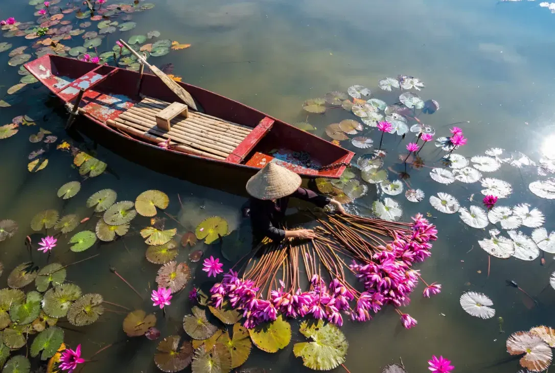 Schnäppchen, Deals Und Rabattcodes Des Tages - Vietnam Reiseangebote