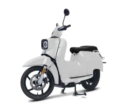 eSchwalbe 50er Privat Leasing - 100% Elektrisch mit 3 PS für 29€ mtl. (LF: 0.36, 24 Monate, Bereitstellung: 159€, 2.500 km/Jahr)