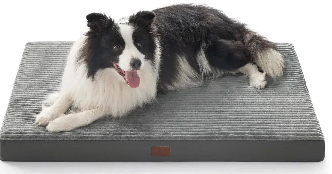 Schnäppchen, Deals Und Rabattcodes Des Tages - Orthopädisches Hundebett Für Große Hunde