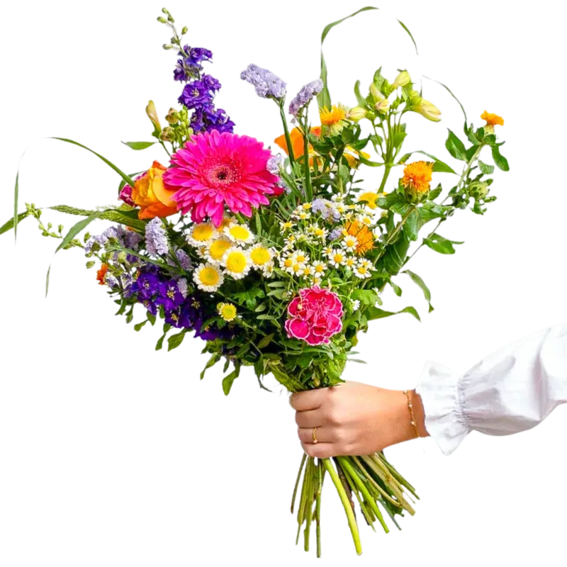 Blumenstrauß Gute Laune ab 21,88 € inkl. Versand