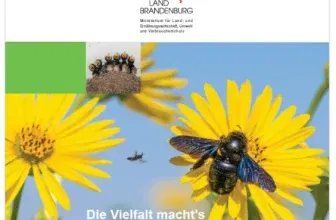 Gratis: Die Vielfalt macht’s: Tipps für insektenfreundliches Gärtnern – Nachhaltig, schön und voller Leben