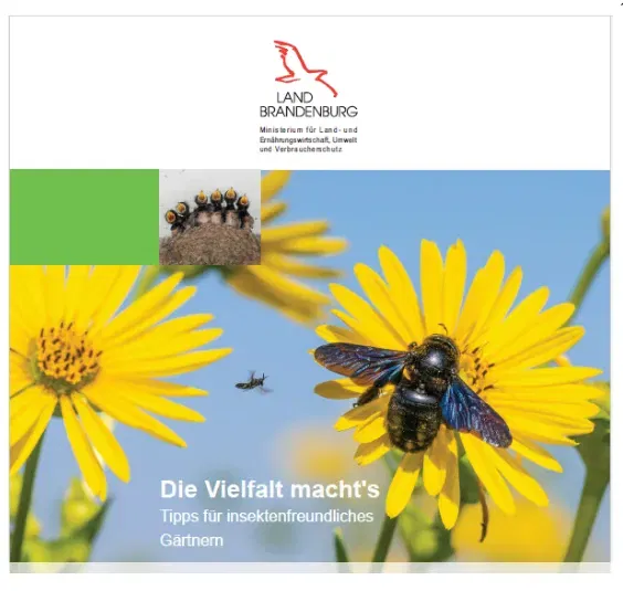 Gratis: Die Vielfalt macht’s: Tipps für insektenfreundliches Gärtnern – Nachhaltig, schön und voller Leben