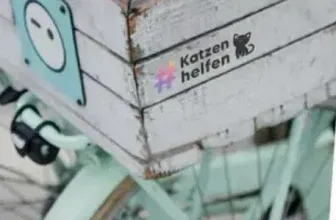 Gratis Katzenaufkleber 🐾#KatzenHelfen - Jetzt mitmachen Aktion