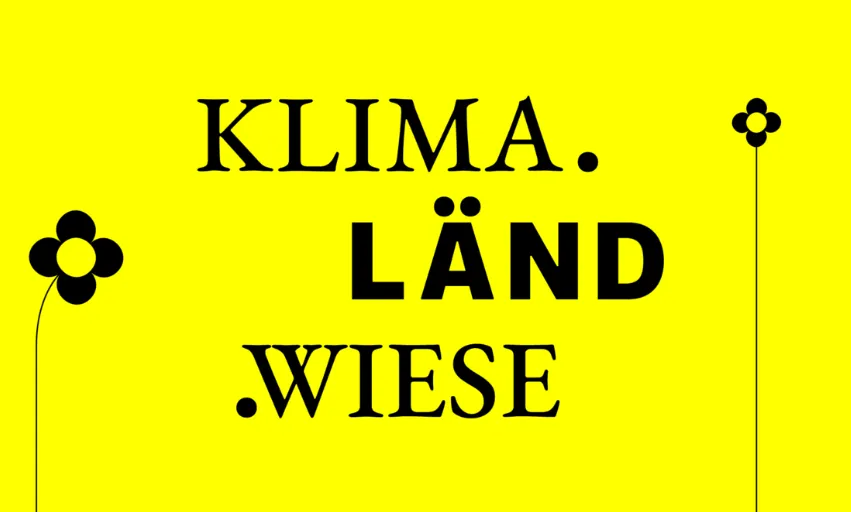 Schnäppchen, Deals Und Rabattcodes Des Tages - Luftaufnahme Einer Grünen Wiese Mit Blauem Himmel