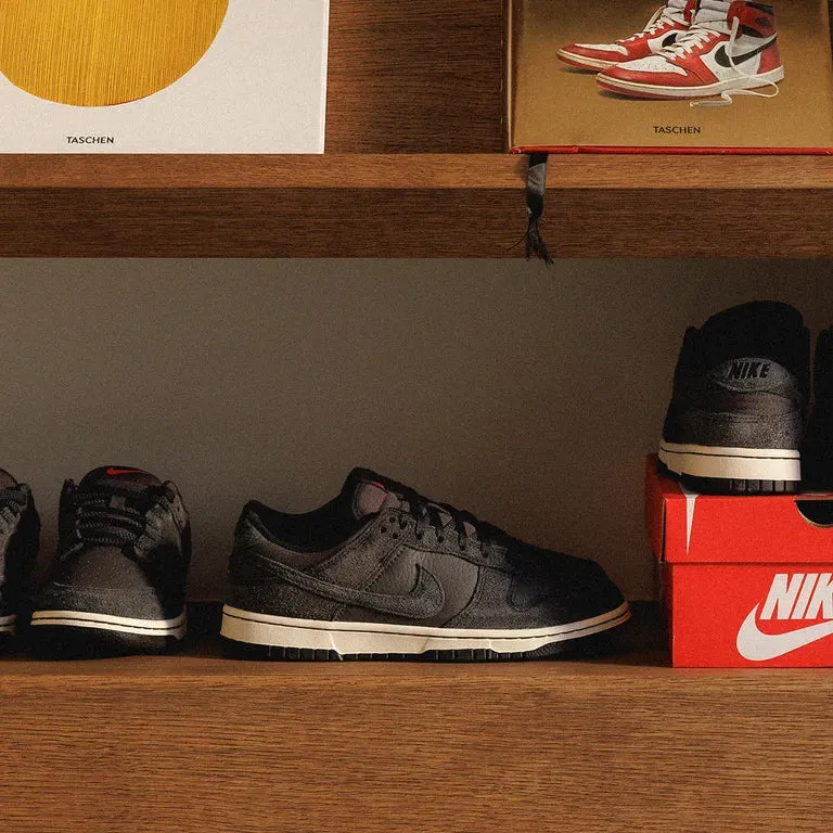 Nike Dunk Low Retro Prm HF3145 001 (Gr. 36 bis 48,5) für 79,00 € inkl. Versand (statt 129,95 €)