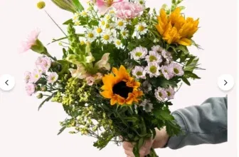 Blume Ideal Sommer-Deal: 20 % Rabatt + Gratis Vase auf schöne Sommersträuße