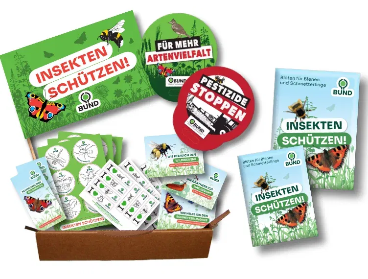 Kostenloses Aktionspaket „Insekten schützen“ inkl. Samentütchen