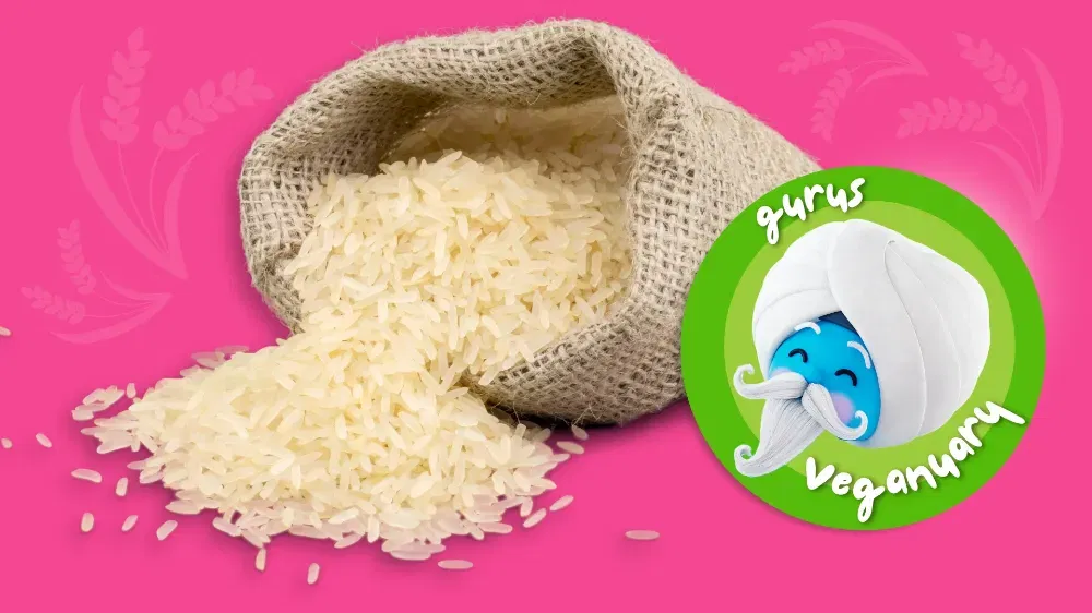 marktguru: 0,50 € Cashback auf Reis 🍚 (effektiv nur noch Jasmin-Reis 1 kg für 1,49 € bei Lidl bis 31.01.)