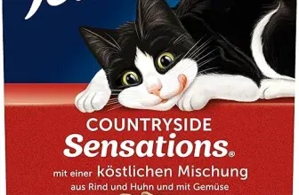FELIX Countryside Sensations Katzenfutter trocken mit Rind und Huhn (1er Pack (1 x 1kg)) ab 2,70 € inkl. Prime-Versand (statt 3,50 €)