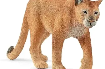 SCHLEICH 14853 Puma (ab 3+ Jahren WILD Life – Spielfigur) für 4,09 € inkl. Prime-Versand (statt 5,59 €)
