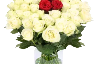 Blumestrauß Nordlicht mit 50 Rosen ab 37,23 € inkl. Versand