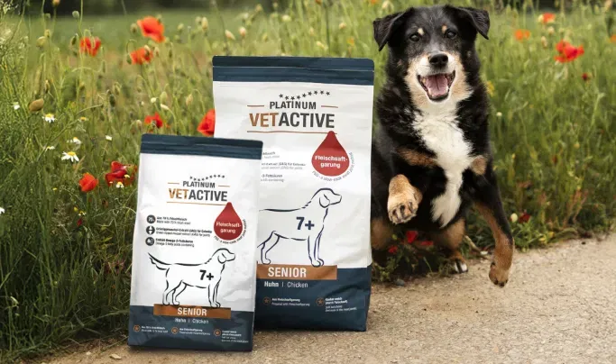 PLATINUM VETACTIVE Senior Produkttest – Premium-Trockennahrung für ältere Hunde kostenlos [600 Tester]