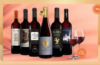 Vinos Sommer Rotwein Paket 🍷 6 Flaschen & 2 Schott Zwiesel Gläser ab 29,99€