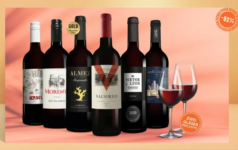 Top 🍷Vinos Tinto Paket – 6 spanische Rotweine + 2 Gläser Schott Zwiesel für nur 25,99 €