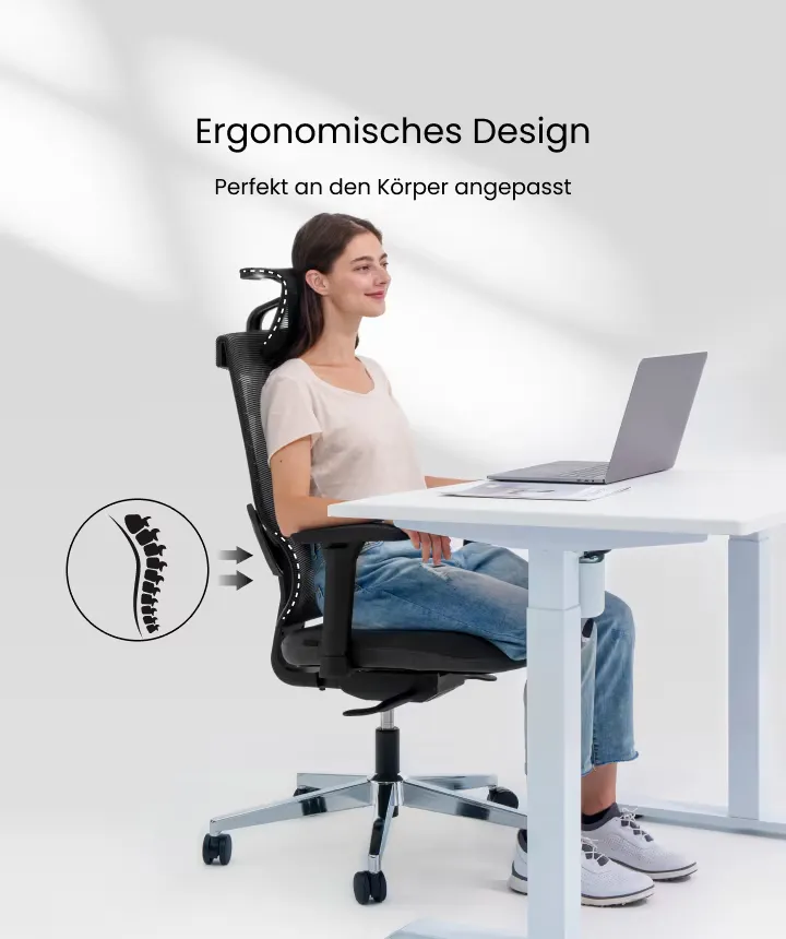 Flexispot Ergonomischer Stuhl mit 8-fach höhenverstellbarer Rückenlehne (2 Farben, BS6/BS6 Lite) ab 149,99 € inkl. Versand
