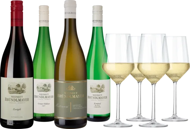 Hawesko Verkostungspaket Bründlmayer für 72,89 € inkl. Versand (statt 117,10 €)