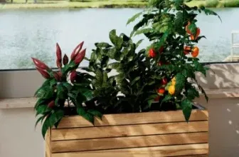 Bessagi Garden Hochbeet Marlo Echtholz Massiv (2x 69/34,5/26 cm) für 44,85 € inkl. Versand (statt 80,00 €)