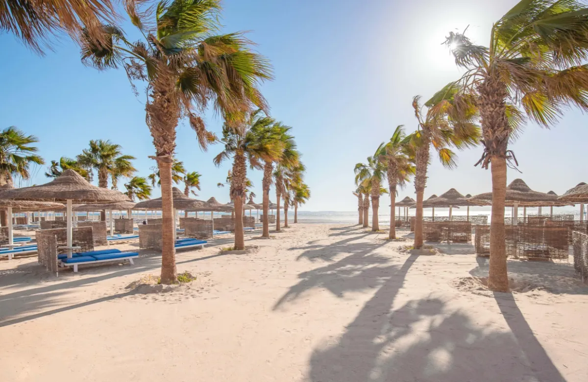 Nilkreuzfahrt inkl 7 Naechte Badeurlaub am Roten Meer in Abu Soma Berge Meer 03 05 2026 12 48 Nilkreuzfahrt inkl 7 Naechte Badeurlaub am Roten Meer in Abu Soma Berge Meer 03 05 2026 12 48
