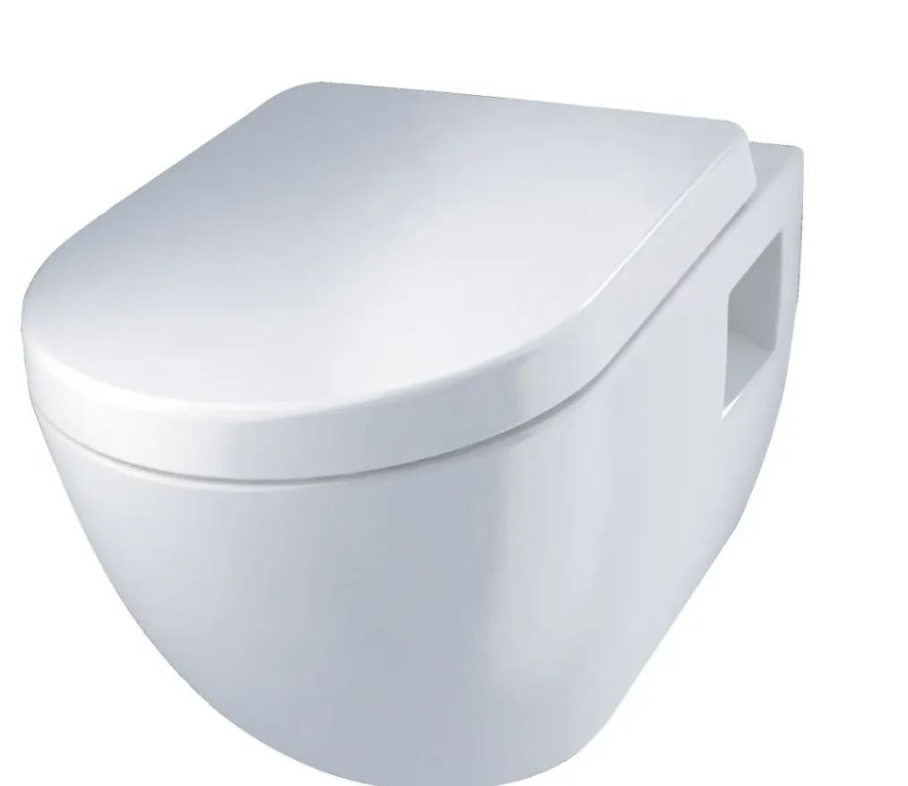 Primaster Wand Wc Spülrandlos Lea Tiefspüler Weiß inkl. Wc Sitz ab 129,00 € Abholung (statt 229,29 €)