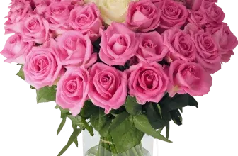 Blumenstrauß Pink Special mit 40 Rosen ab 27,29 € inkl. Versand 🌹