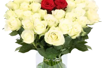 Blumenstrauß Nordlicht mit 40 Rosen ab 28,19 € inkl. Versand