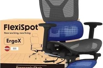 FLEXISPOT Ergonomischer Bürostuhl ErgoX Dunkelgrau (136kg, 4 Farben) für 180,49 € inkl. Versand (statt 273,00 €)