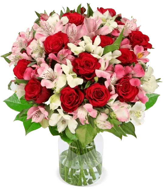 Blumenstrauß Liebesgruß mit bis zu 40 Blüten ab 29,99 € inkl. Versand 🌹 🌹 🌹
