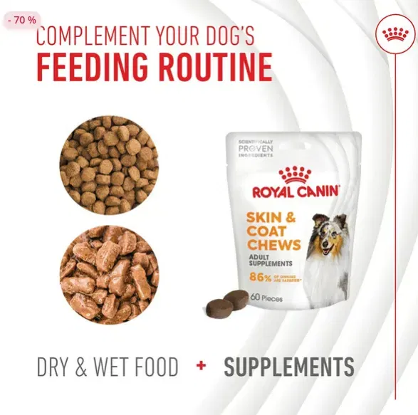 Schnäppchen, Deals Und Rabattcodes Des Tages: Royal Canin Skin &Amp; Coat Chews Adult Supplements