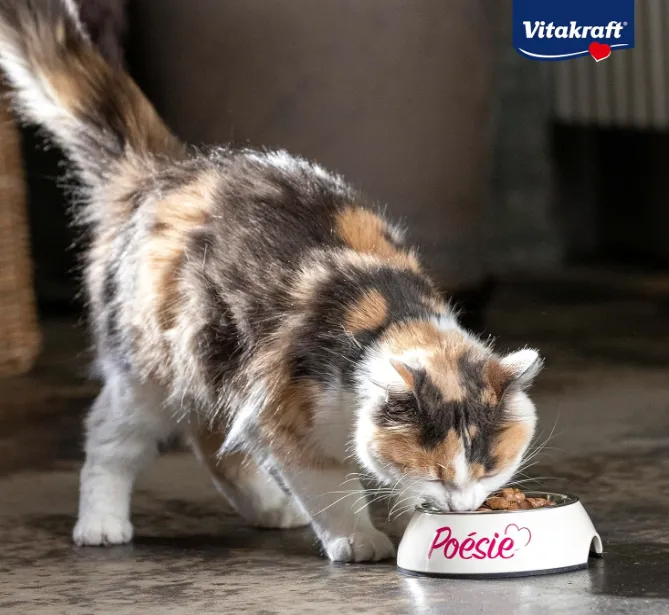 Schnäppchen, Deals und Rabattcodes des Tages - Vitakraft Poesie Delice nourrit