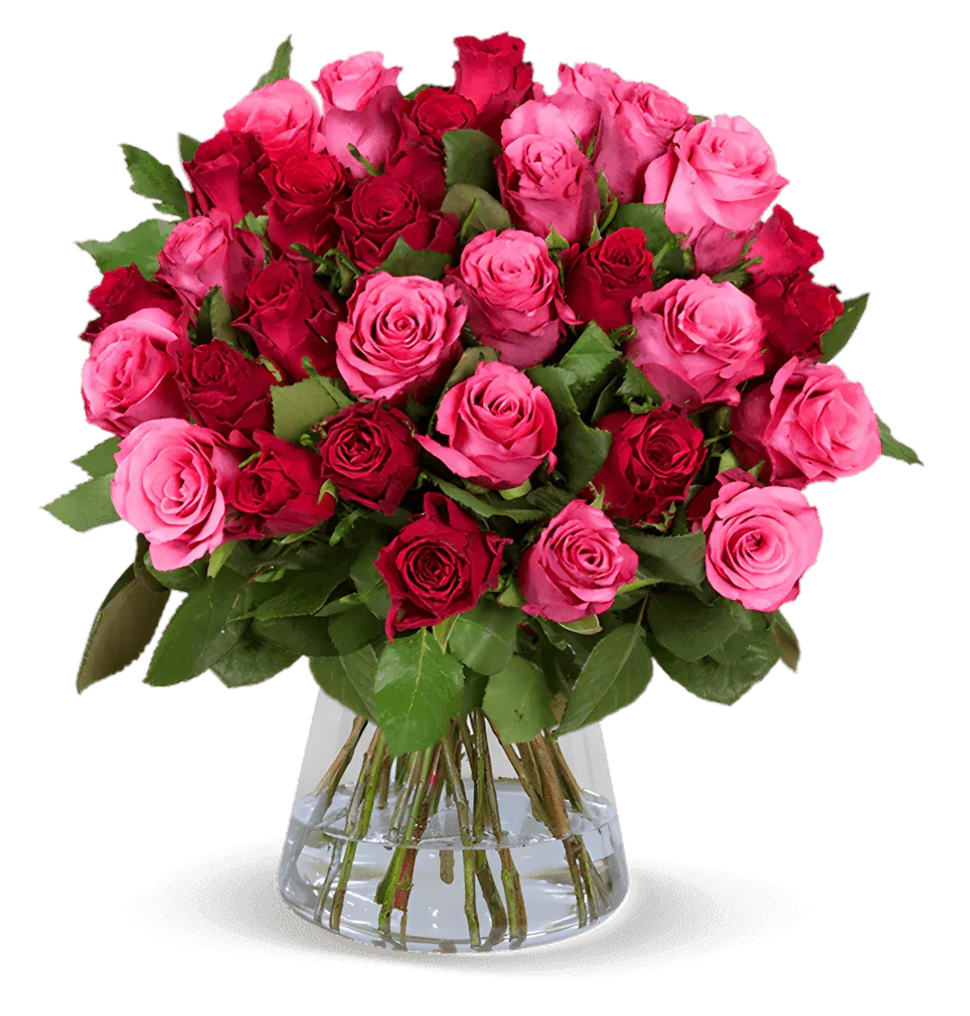 Blumenstrauß Romantic Roses mit 40 Rosen ab 27,29 € inkl. Versand
