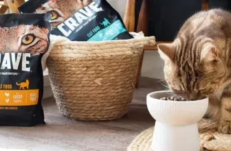 Crave Adult Trockenfutter mit Lachs & Weißfisch (6x750g) ab 21,14 € inkl. Prime-Versand (statt 43,14 €)