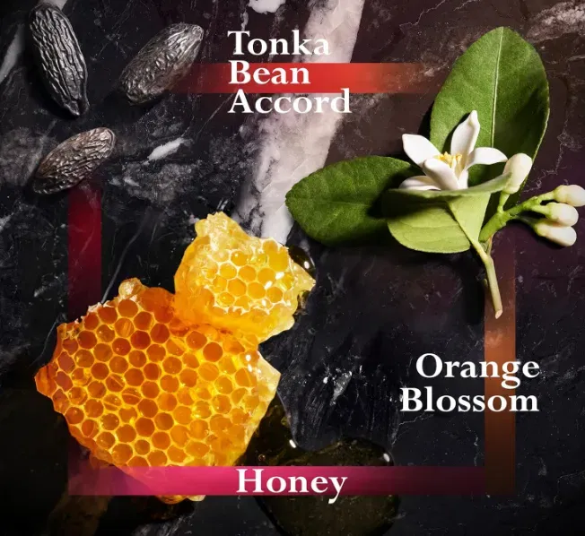 JOOP! HOMME Shower Gel (150ml) für 6,65 € inkl. Prime-Versand (statt 12,95 €)