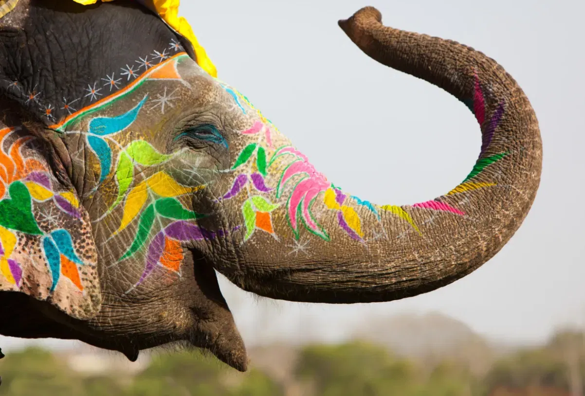 Zwischen Maharajas Marmor und Magie Berge Meer 12 17 2025 04 31 PM 1 Schnäppchen, Deals Und Rabattcodes Des Tages - Luxuriöse Reiseziele