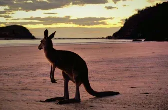 Flugangebote nach Australien & Neuseeland mit China Southern ab 552 € für Hin/Rückflüge ab Luxenburg inkl. 2*23KG Gepäck!