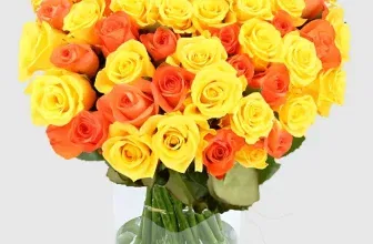 40 Rosen Hello Sunshine ab 25,49 € inkl. Versand