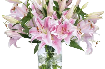 Blumenstrauß mit 15 pinken Lilien ab 27,29 € inkl. Versand