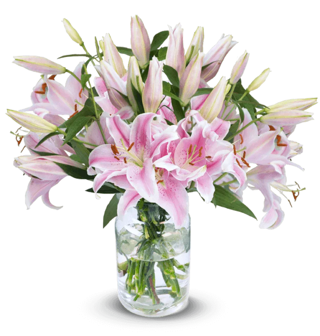 Blumenstrauß mit 15 pinken Lilien ab 27,29 € inkl. Versand