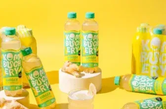 Schnäppchen, Deals und Rabattcodes des Tages - GINGER Kombucha von Kombuchery