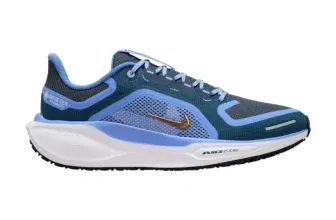 Schnäppchen, Deals und Rabattcodes des Tages: Nike Damen Laufschuhe Air Pegasus 41 GTX FQ1357-400