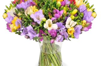 50 Bunte Freesien Blumenstrauß mit bis zu 400 Blüten ab 29,99 € inkl. Versand