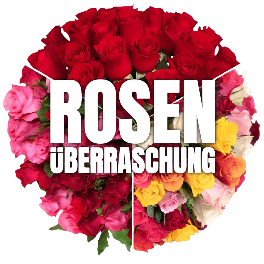 Blumenstrauß Rosenüberraschung mit 50 Rosen ab 25,49 € inkl. Versand 🌹🌹🌹